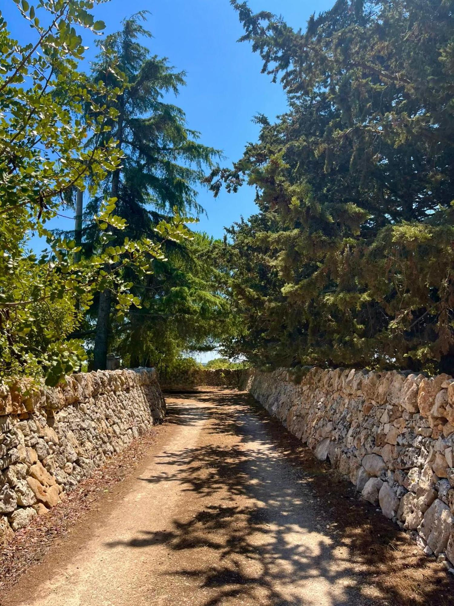 I Trulli Della Naturabio Мартина Франка Екстериор снимка