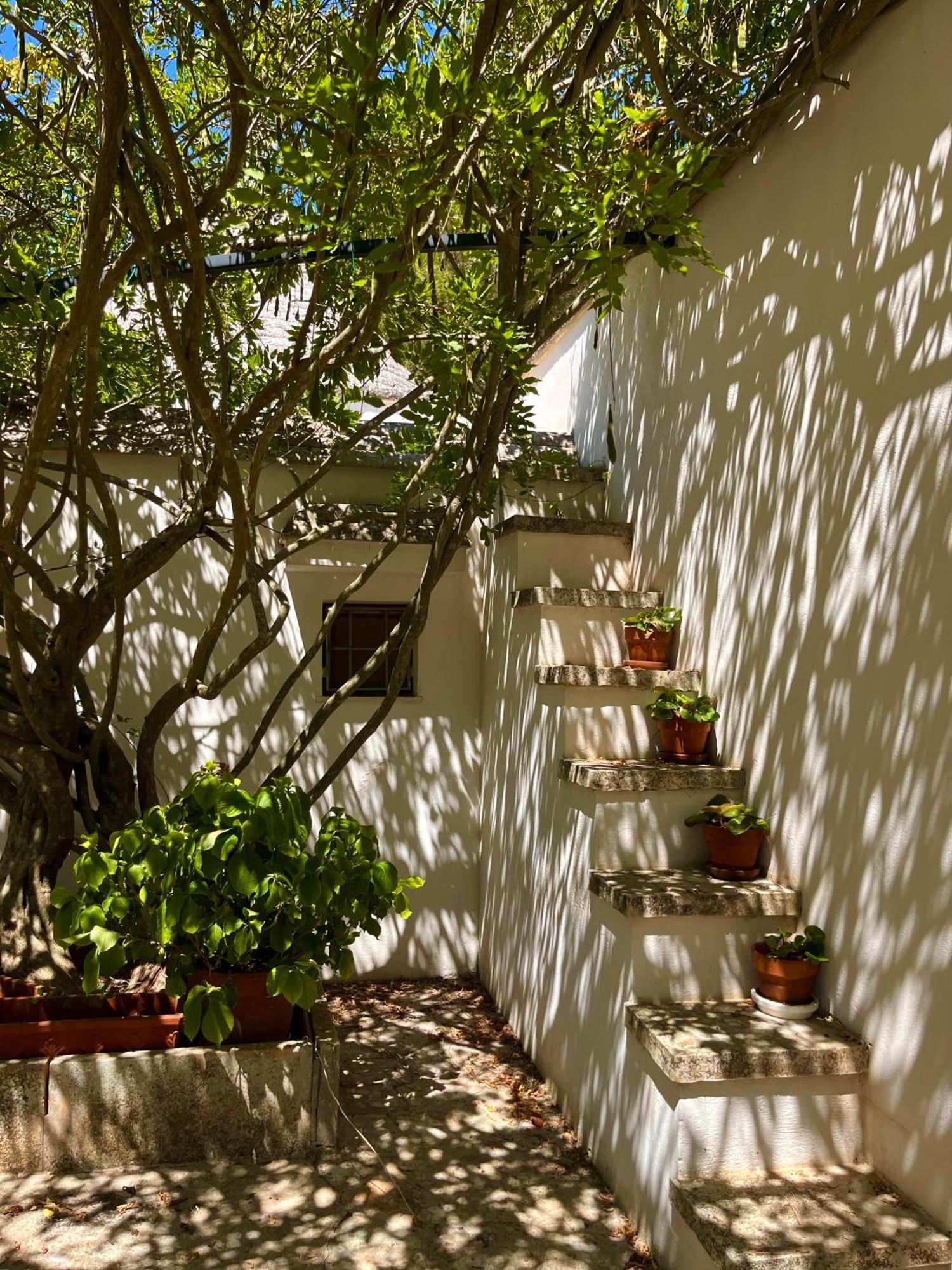 I Trulli Della Naturabio Мартина Франка Екстериор снимка