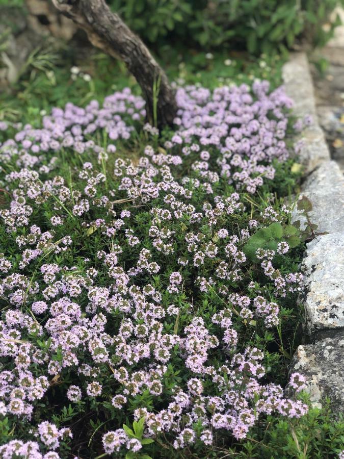 I Trulli Della Naturabio Мартина Франка Екстериор снимка