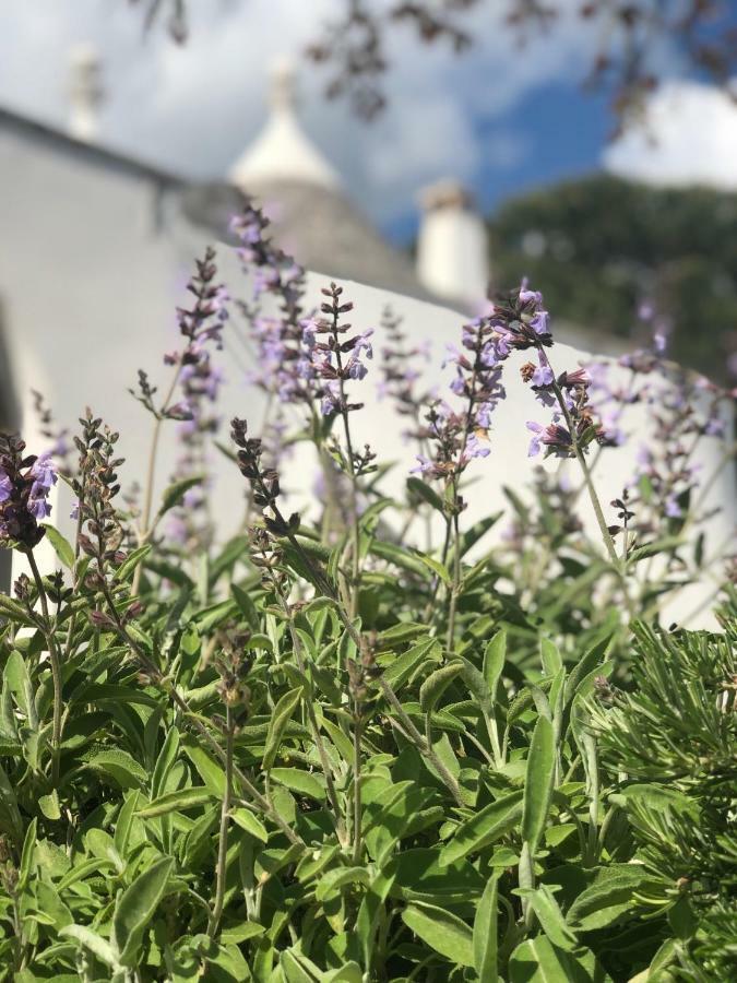 I Trulli Della Naturabio Мартина Франка Екстериор снимка