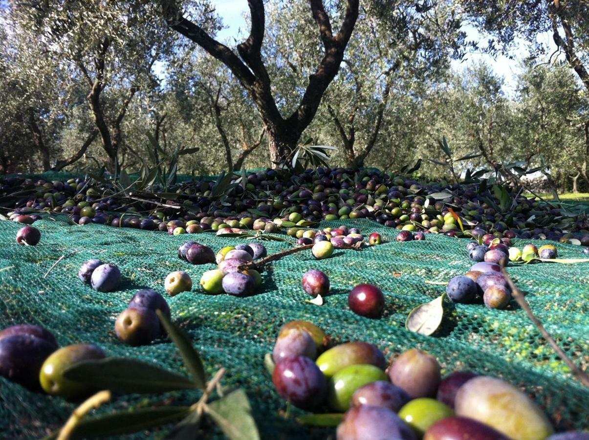 I Trulli Della Naturabio Мартина Франка Екстериор снимка